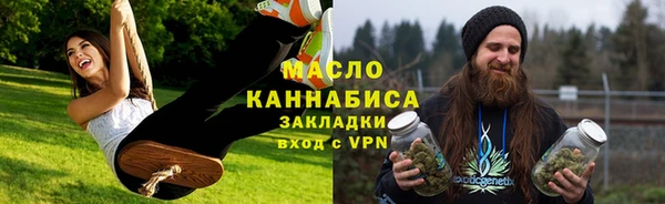 дживик Бородино