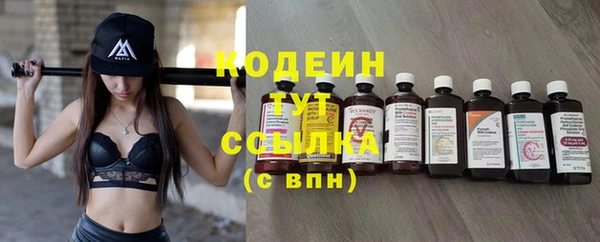 дживик Бородино