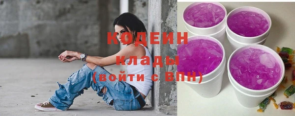 дживик Бородино