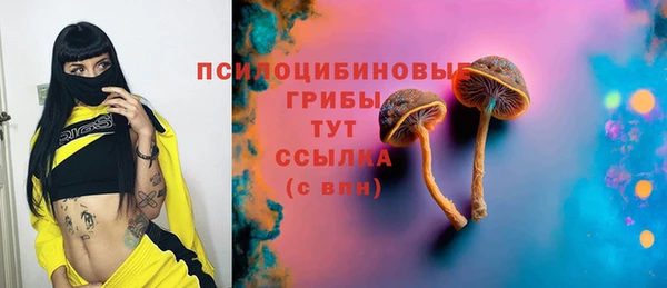 дживик Бородино