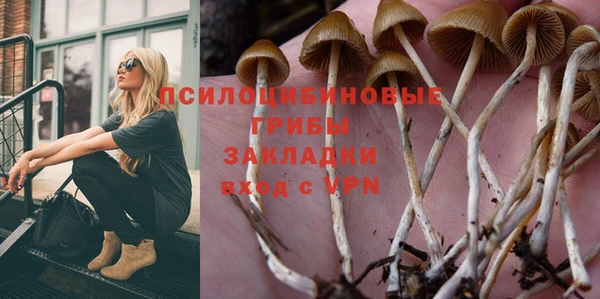 дживик Бородино