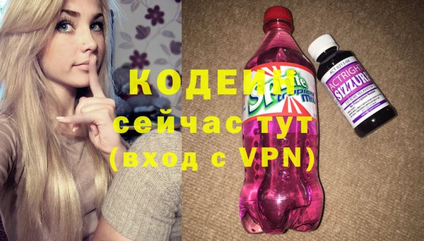 дживик Бородино