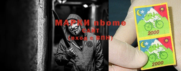 дживик Бородино