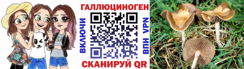 Псилоцибиновые грибы Psilocybine cubensis  магазин продажи наркотиков  кракен как войти  Стерлитамак 